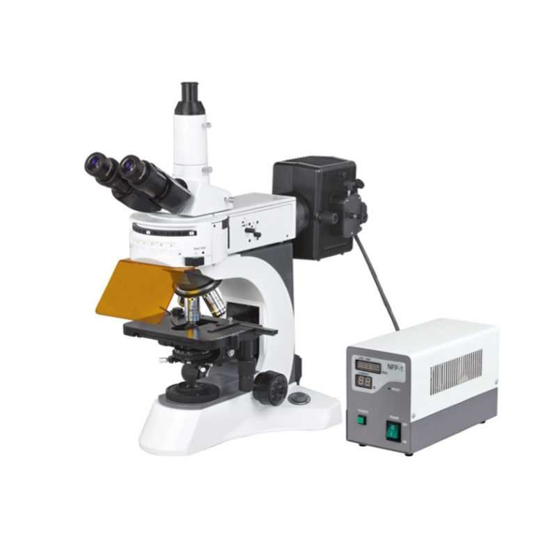 N-800F Laboratory Biological Fluorescent Microscope